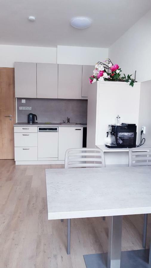 Apartmany Dolní Morava Exteriör bild